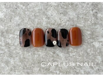 キャプラスネイル ベリエ/■monthly■ 2411