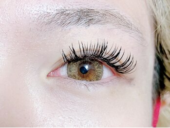 リュニック(L'unique)/Wフラットラッシュ100束