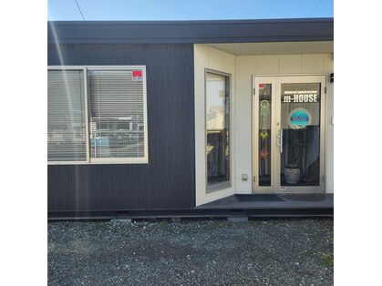 シャイニー(Shiny)の写真