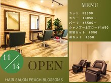 ピーチブロッサム 大村駅前店(Peach Blossoms)の雰囲気（●居心地のいい空間と音楽の美容室●お値段もリーズナブル♪）