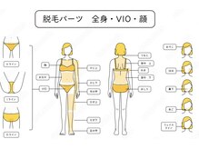 サンカリビューティー(SANKARI beauty)/全身脱毛