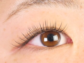 プア(PUA)/フラットラッシュ