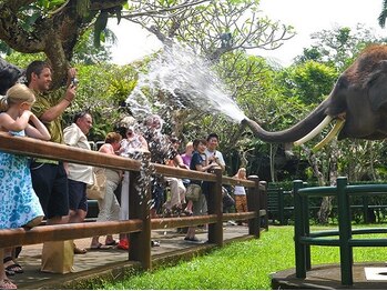 アジアンリラクゼーション ヴィラ 大橋店(asian relaxation villa)/バリ;エレファント・サファリ