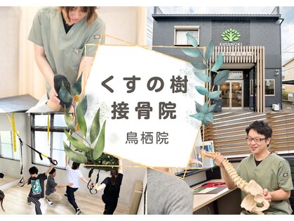 くすの樹接骨院 整体院 鳥栖院の写真