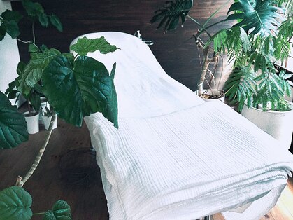 ポロカ(POLOKA)の写真