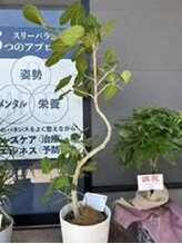 整体院スリーバランス 志布志院/