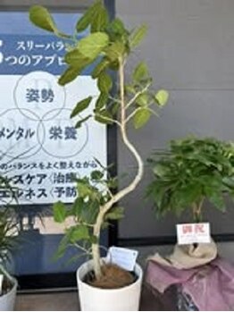 整体院スリーバランス 志布志院/