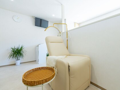 リノ(LINO)の写真