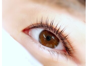 ルートル(Loutre)/パリジェンヌ☆