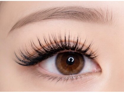ドレス アイラッシュ(Dress eyelash)の写真
