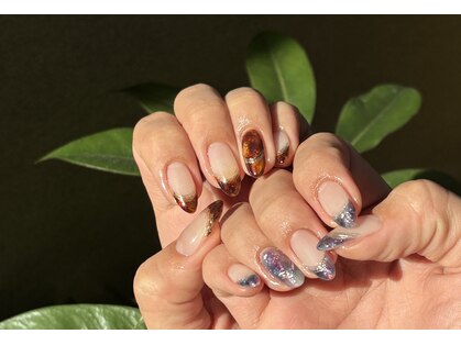 モモ(MoMo)の写真