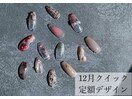 定額4000円以下×12月デザイン