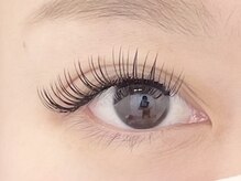 チェミール(CHEMIR)/フラットラッシュ2D 80束