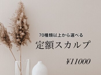 ネイルカレッジアンドサロン ナチュレ(nailcollege&salon NATURE)/定額スカルプ￥11000