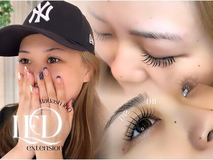 メリス(Mellis)の写真