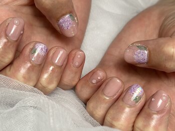 秋桜./定額デザイン