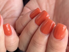 テラッコタカラー