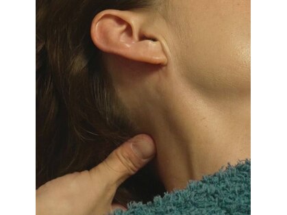 蒼のゆらぎ 徳島の写真