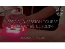 アンジュ(A’NGE)/セルライトゼロ3回コース