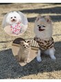 ウユ 上尾店(uu)&nbsp;犬を3匹飼ってます。毎日溺愛してます！[上尾/まつげパーマ/眉]