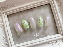 ヴィーナスオブジョー(Venus of jaw)/削らない爪に優しい＊パラジェル