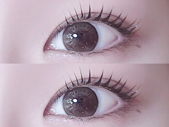 リノ(Lino)/カールデザイン