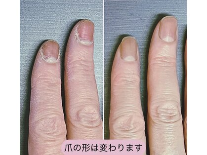 桃の木 吉祥寺店の写真