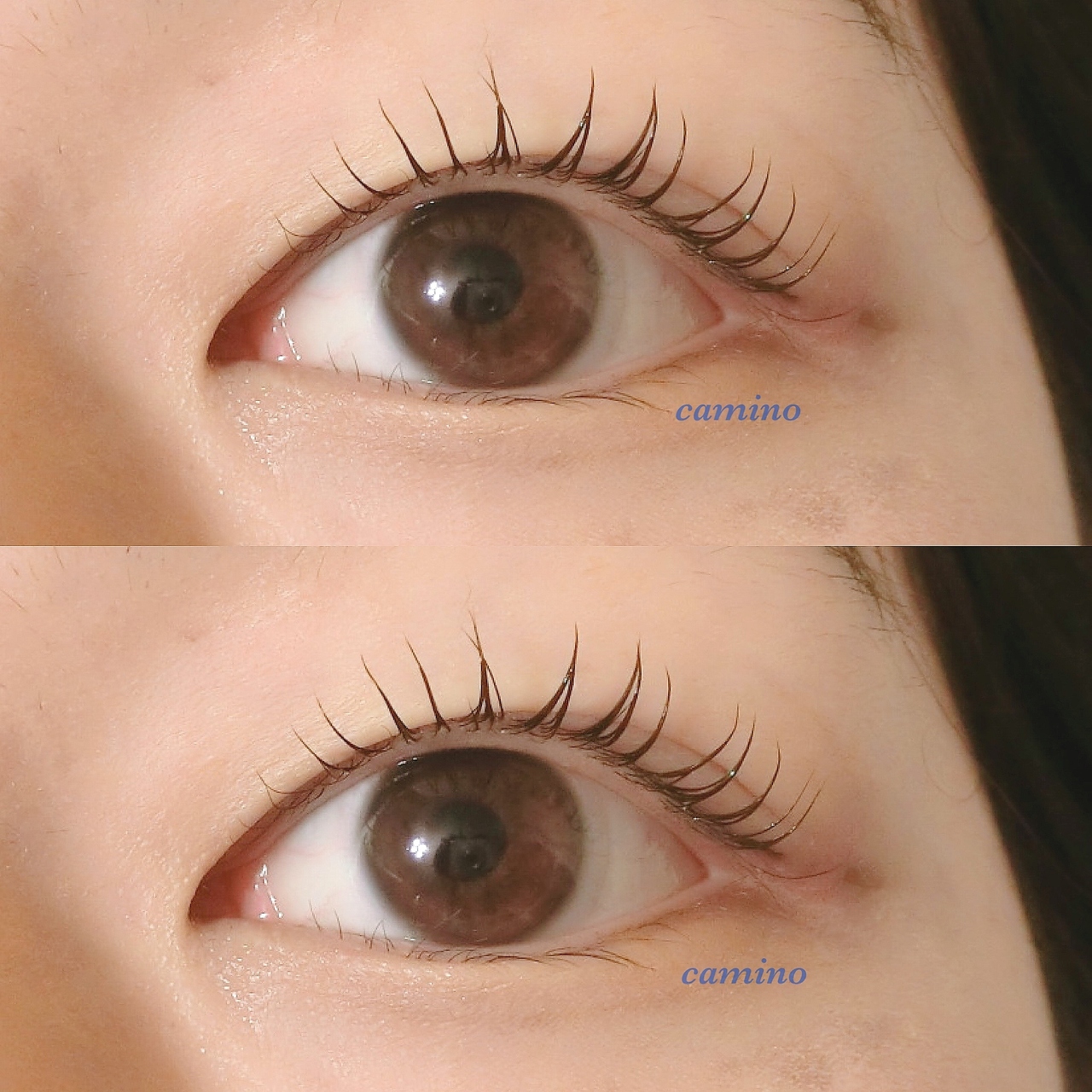 カミーノ(CAMINO)/