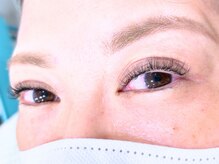 ステラ/ボリュームラッシュ100束