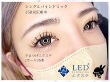 バニーラッシュ 津田沼店(Bunny Lash)/【シングルバインドロック】