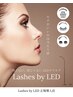 LED【フラットラッシュ200本】アイシャンプー・パック・シングルエクオフ込