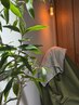 【初回限定】妊活・温活・更年期★おかま直伝よもぎ蒸し 30分¥3000