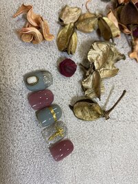 １月セレクトコース