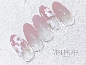 ステラヴィエ(Stellavie)/定額プランB