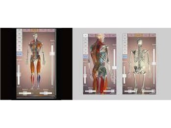 るぽ整骨院/姿勢分析