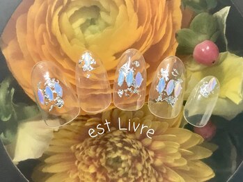 エストリブレ(estLivre)/クリア&ホログラム