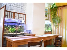リラクゼーションサロン 縁/熱帯魚と観葉植物の癒し空間