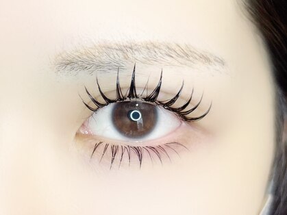 ビオエル(BIOEL)の写真