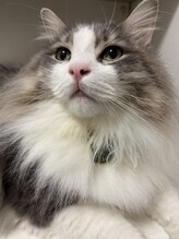 ルチル 江南駅前店(Rutile)&nbsp;野呂 産休中