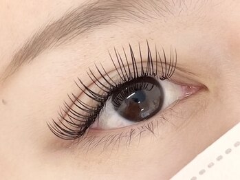 チェミール(CHEMIR)/フラットラッシュ2D 80束