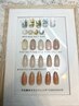 【新規オフ無料】ガラスフレンチ２本ずつキラキラ上品ネイル７500円