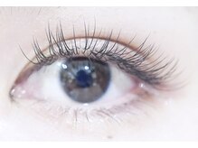 ドール アイラッシュ(D'or EYELASH)/Flat lash まつげエクステ