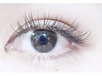 ドール アイラッシュ(D'or EYELASH)/Flat lash まつげエクステ