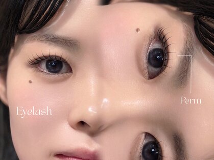 イチロクド(16°)の写真