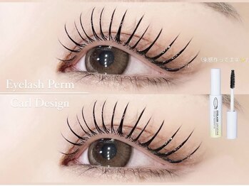 ポラール バイ ルピナス 代官山店(Polar by Lupines)/束間デザイン