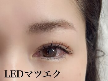 リノモア(LinoMoa)/LEDマツエク/フラットラッシュ