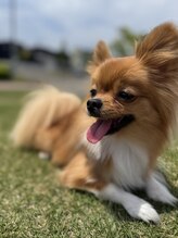 オーノ(Ohno)&nbsp;ネイリスト anna