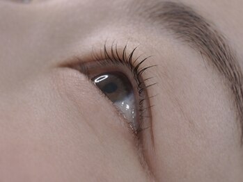 ポメリー(pommery)/