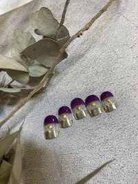 １月セレクトコース