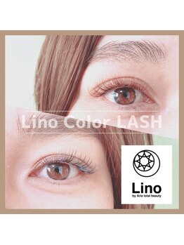 リノ バイ アリア(Lino by Aria)/ボリュームColorデザイン